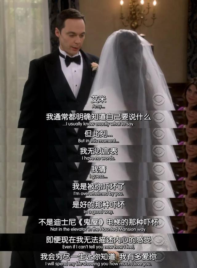 爱情最好的模样,原来都藏在《生活大爆炸》最终季里.
